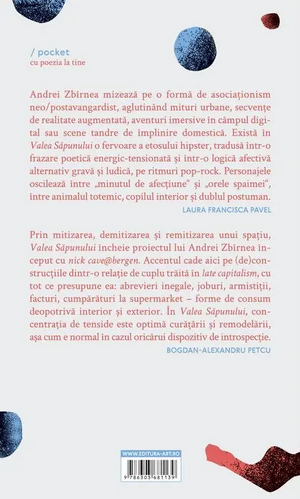 Andreizbirnea-valeasapunului-c4.webp