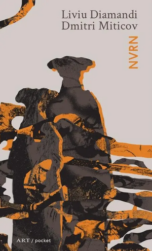 Liviudiamandi-dmitrimiticov-nvrn.webp